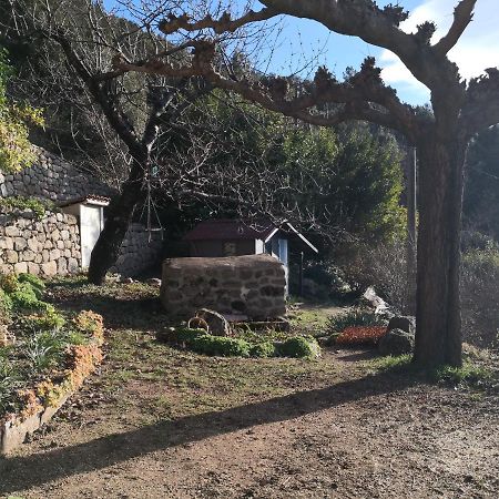 Studio Des Combes Dunières-sur-Eyrieux Екстериор снимка
